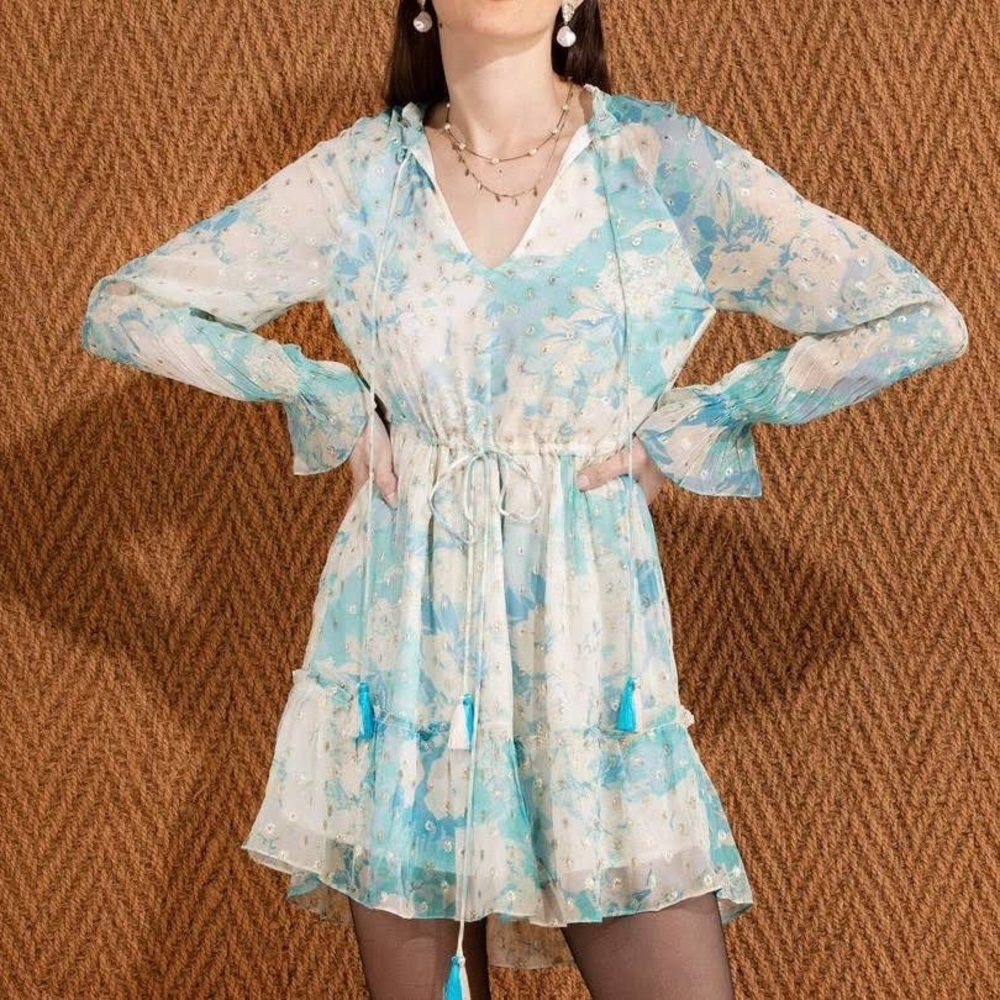 Hermant & Nandita blue sparkle dress